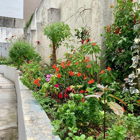 205- Apartamento 1 Quarto Suite, Encantador, Amplo E Decorado, Mobiliario Moderno, Cozinha Completa Com Utensilios , Excelente Vista Da Cidade E Localizacao Privelegiada No Bairro Bigorrilho , Curitiba Exteriör bild